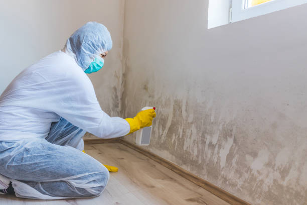 Licensed Crawl Space Mold Removal service in Vienna, VA - WQB Mold Removal