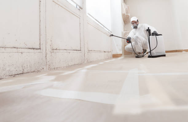 24/7 Emergency Crawl Space Mold Removal experts in Vienna, VA