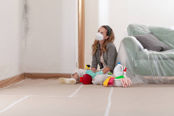 Reliable Crawl Space Mold Removal contractor in Vienna, VA by WQB Mold Removal