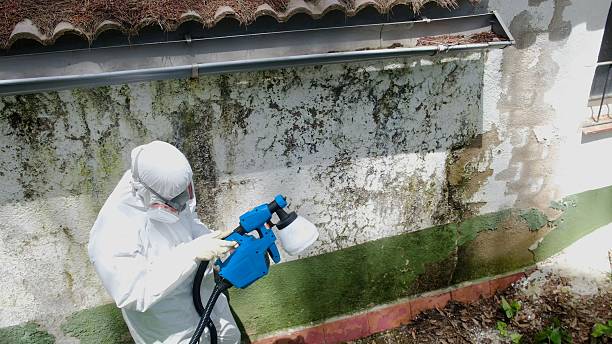 Top rated local Crawl Space Mold Removal specialists in Vienna, VA